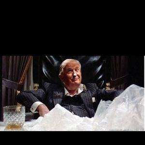 Meet your Posher, Jesse